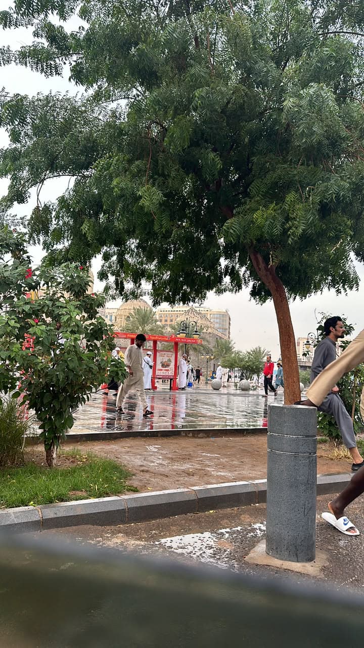 A garden on the edge of the city